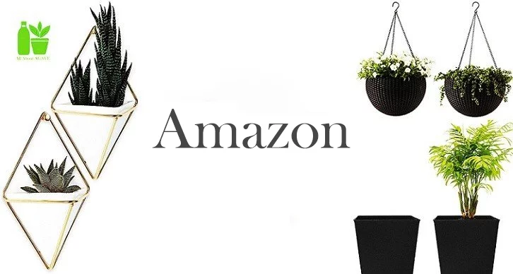 Planter Pots on Amazon