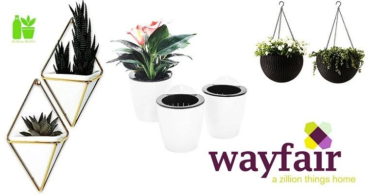 Planter Pots On Wayfair
