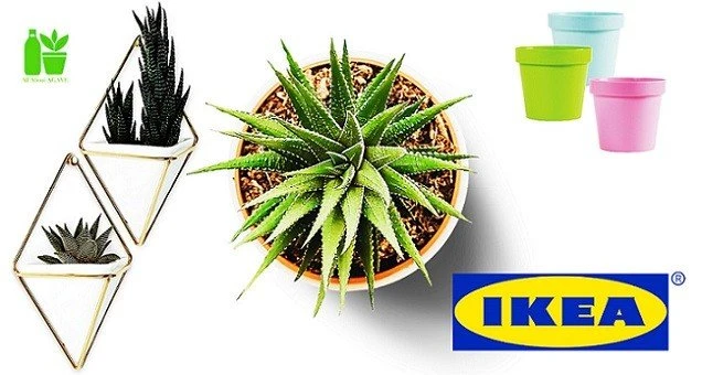 Planter Pots On Ikea
