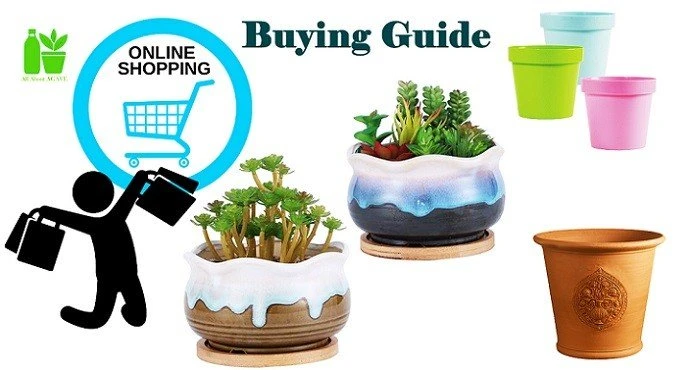 Buying Guide Of Planter Pots