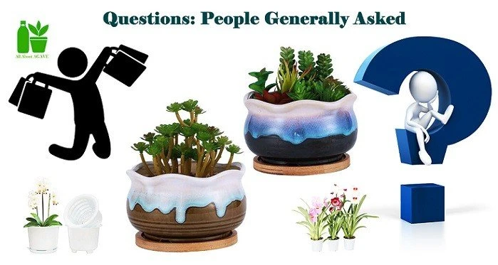 Frequently Asked Questions About Planter Pots