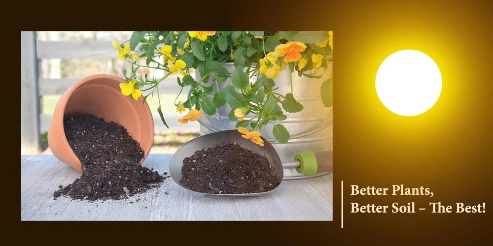 Better Soil For Better Plants