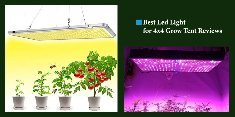 Top 10 Best LED Light for 4X4 Grow Tent Reviews