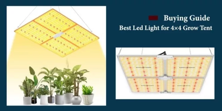 What Is a Grow Light?