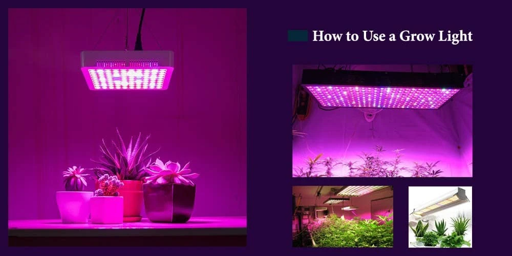 Use A Grow Light