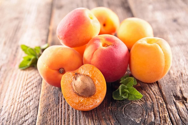 Apricot Tree: