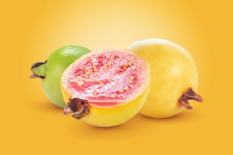 Guava: