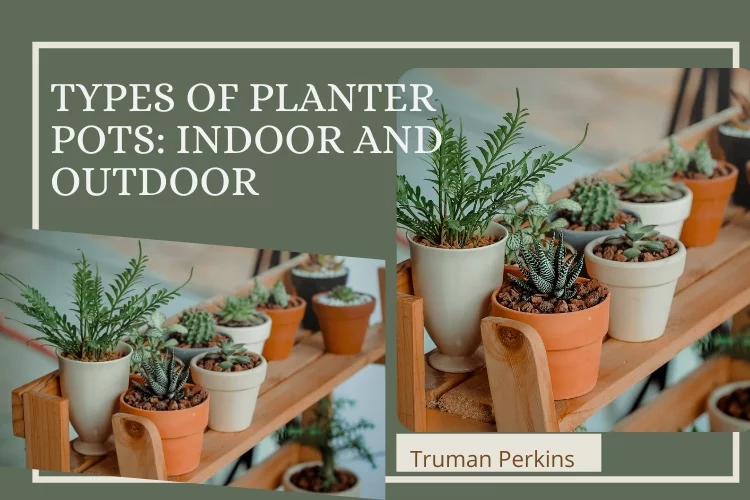 Types of Planter Pots: Indoor and Outdoor