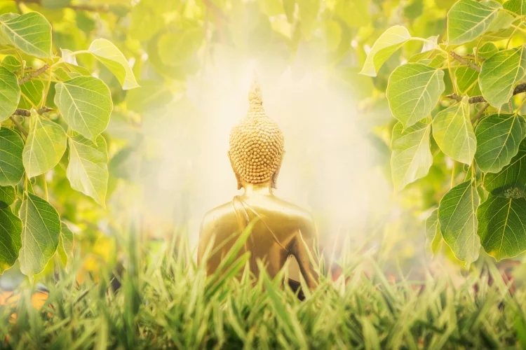 Golden buddha with peaceful tree leaf with sunlight