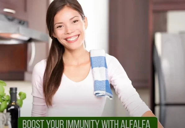 Alfalfa Help with Improved Metabolic Health