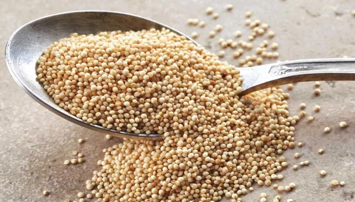Amaranth: Uses, Benefits, Warnings, Recipes, and Information