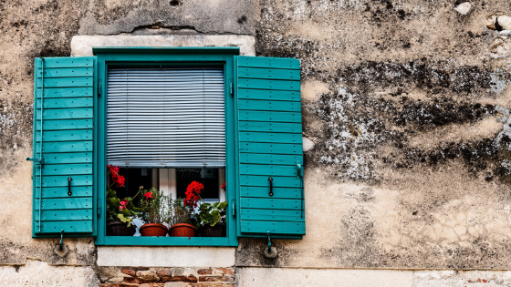 Flowers In Window Box