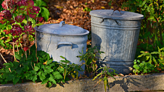 Compost Pit