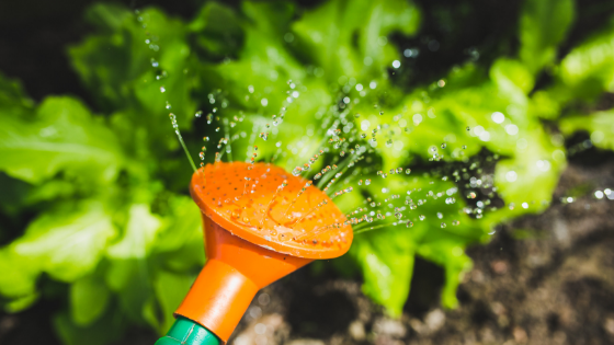 Tools In Terrace Garden