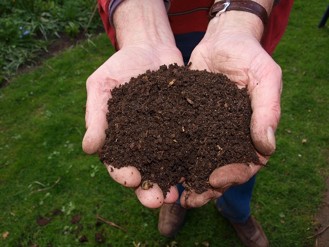 Organic Compost