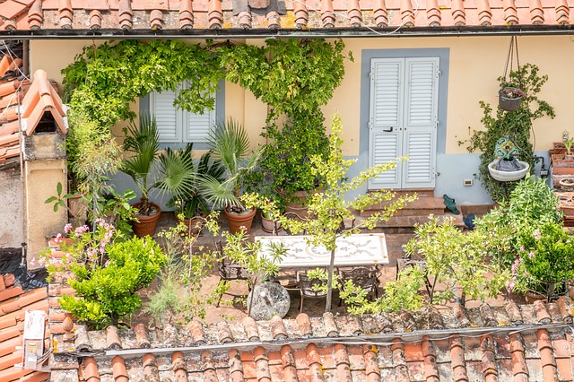 How To Start Terrace Gardening In Hyderabad, How To Start Terrace Gardening India