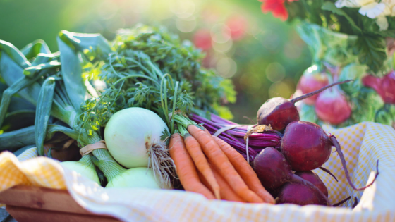 Vegetable Garden