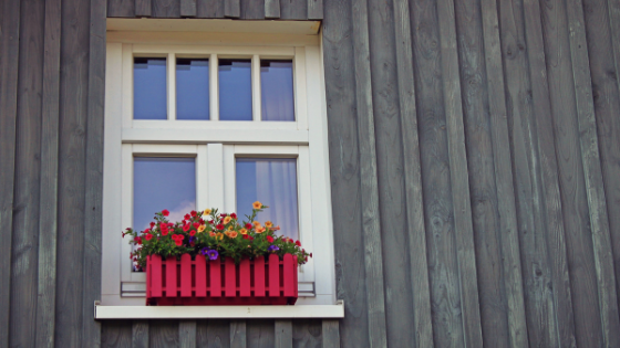 Flowers In Window Boxes