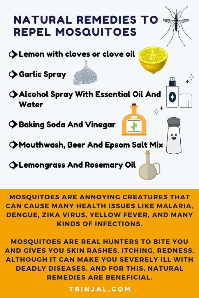 Mosquito Repellents: Indoor Plants & Natural Remedies