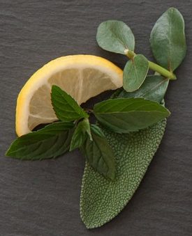 Lemon Eucalyptus Oil