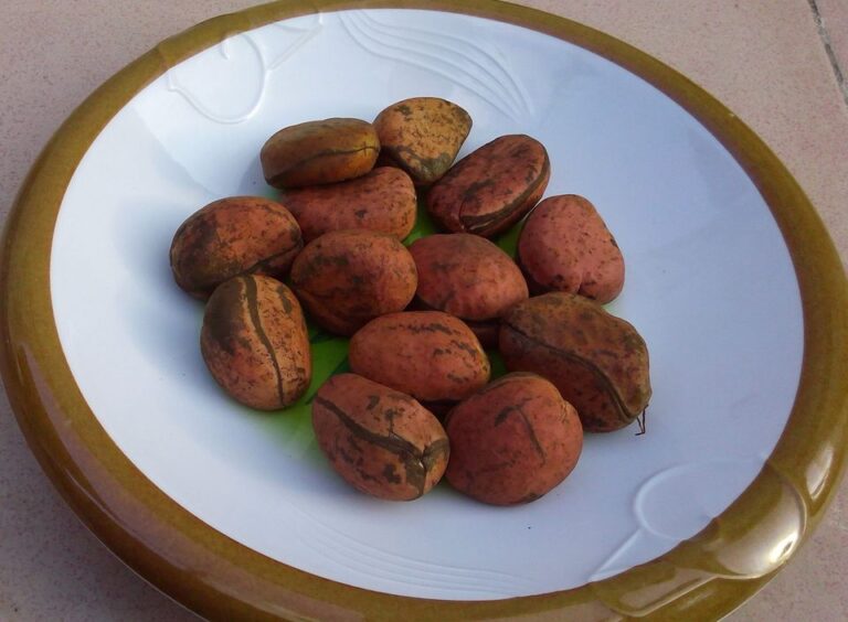 10 Plants & Seeds that Contain Caffeine