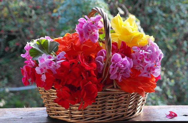 Petunia In Hanging Basket