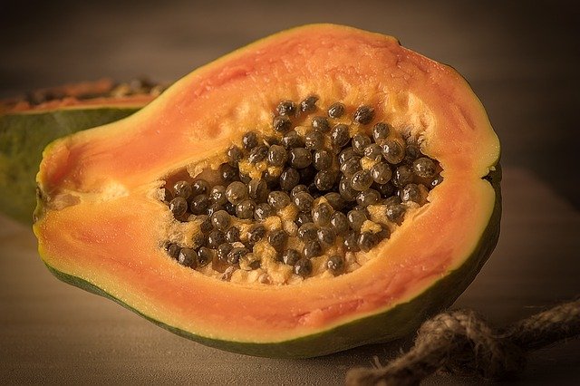 Papaya ( Carica papaya)