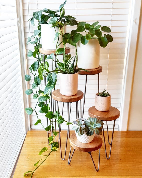 Plant stands: