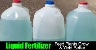 How much Liquid Fertilizer per Plant in Garden?