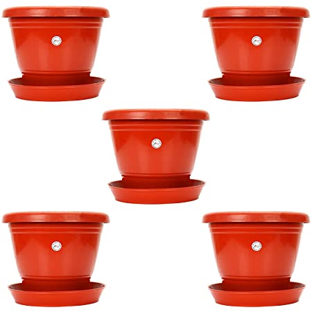Eaglesford 8 inch planter pot pack of 5: